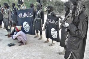 In Borno State Boko Haram Strikes Again: 40 Killed, Scores Abducted