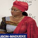 Former Petroleum Minister Diezani Alison-Madueke’s Stolen Assets Recovered: Nigeria Receives $52.88 Million from U.S.