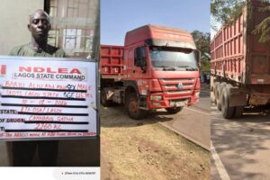 NDLEA Strikes Major Blows Against Drug Trafficking in Abuja, Lagos, and Rivers