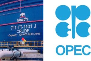 OPEC Accused of Double Standards as It Flags Oversupply Issues Linked to Dangote Refinery in European Markets