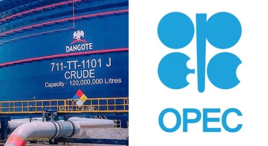 OPEC Accused of Double Standards as It Flags Oversupply Issues Linked to Dangote Refinery in European Markets