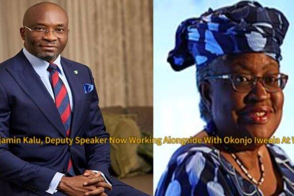 Benjamin Kalu, Deputy Speaker of the House of Representatives, Appointed to WTO Steering Committee by IPU