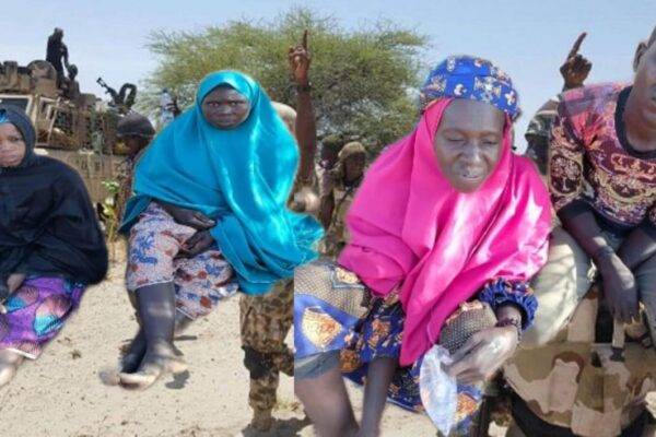Nigerian Army Rescues 25 Kidnapped Victims, Recovers Rustled Cattle in Niger State