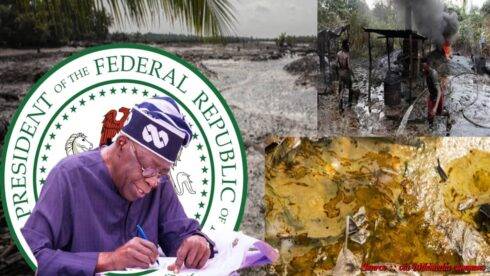 President Bola Ahmed Tinubu Signs Bill: Can FUETO Save Nigeria's Ecological Future?