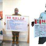 NDLEA Arrests Turkey-Bound Businessman Who Excretes 120 Wraps of Cocaine at Kano Airport