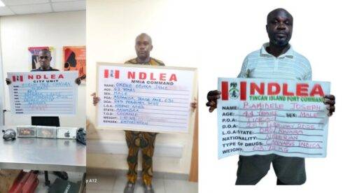 NDLEA Arrests Turkey-Bound Businessman Who Excretes 120 Wraps of Cocaine at Kano Airport