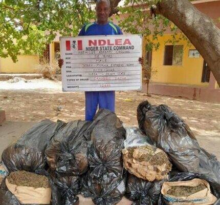 NDLEA Intercepts Malaysian Returnee With Meth Hidden in Music Speakers, Nabs Trans-Border Fentanyl Trafficker