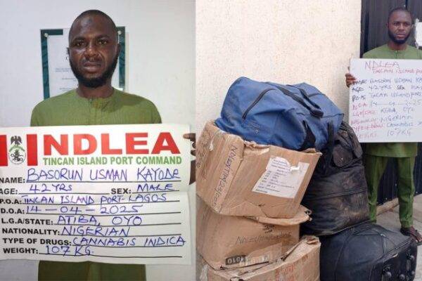 NDLEA Intercepts Cocaine in Saudi-Bound Religious Books, Arrests Bandits’ Drug Supplier
