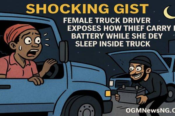 Female Truck Driver Exposes How Thief Carry Her Battery While She Dey Sleep Inside Truck