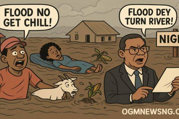 Flood Wahala for Niger: 21 Pipo Don Die, Plenty Still Miss as Mokwa Turn River