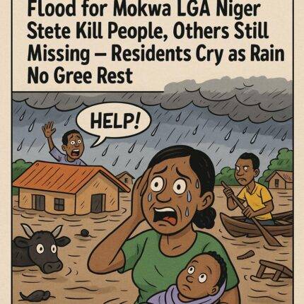 Wetin Start Like Shower Don Turn to Sorrow – Flood Wahala for Mokwa LGA Niger State