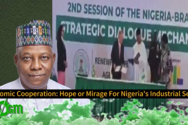 Vice President Kashim Shettima Champions Global South Unity at Nigeria–Brazil Summit