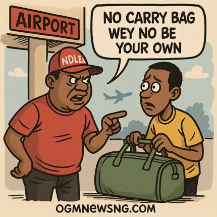 NDLEA Warn Travellers: No Help Carry Wetin You No Pack – Airport Gbege Don Full Everywhere!
