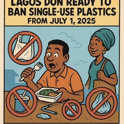 Plastic palava: Lagos Don Ready to Ban Single-Use Plastics from July 1, 2025