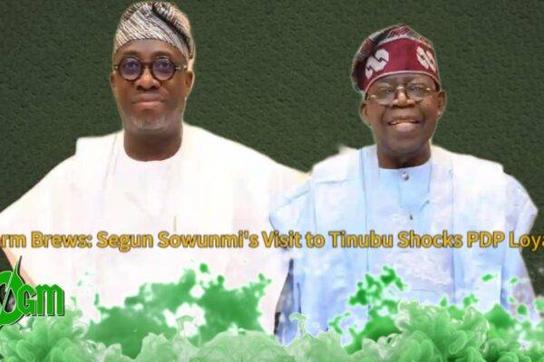 Sallah Surprise: Segun Sowunmi Pays Homage to Tinubu, PDP Leaders Fume