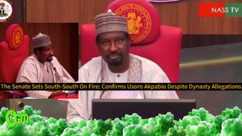 The Senate Fuels Fury: Usoro Akpabio, Nwuche Approved for SSDC Amid Rising Nepotism Claims