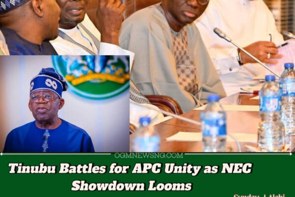 TINUBU, APC GOVERNORS IN STRATEGIC TALKS AHEAD OF NEC SHOWDOWN