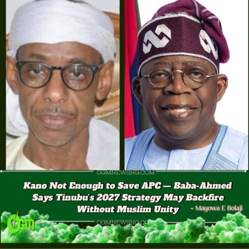 Hakeem Baba-Ahmed Cautions Tinubu Against Dropping Shettima in 2027- "Don’t Underrate Northern Sentiment"