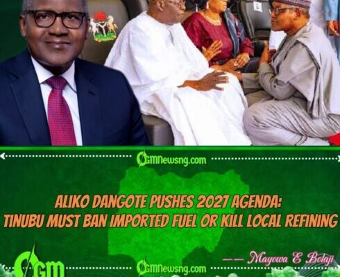 Aliko Dangote to Tinubu: Ban Petrol Imports Now or Risk Nigeria’s Refining Future
