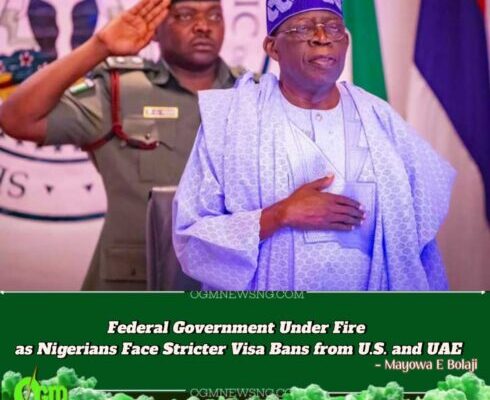 "Diplomacy or Denial? Federal Government Promises Visa Reform Amid Global Embarrassment for Nigerian Travellers"