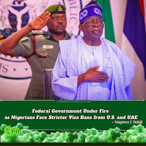 "Diplomacy or Denial? Federal Government Promises Visa Reform Amid Global Embarrassment for Nigerian Travellers"