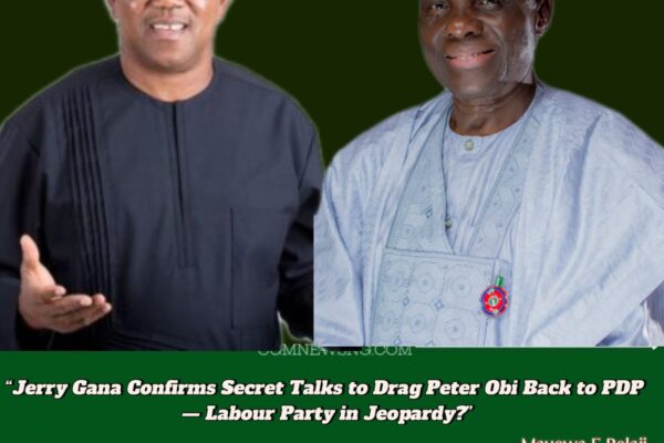 Jerry Gana Reboots PDP with Peter Obi Gambit — Masterstroke for 2027 or Calculated Betrayal?”