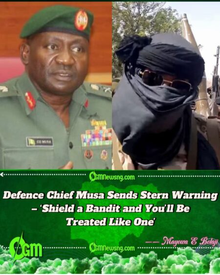 Defence Chief Musa Warns Politicians and Clerics Aiding Bandits: ‘You Will Face the Military’