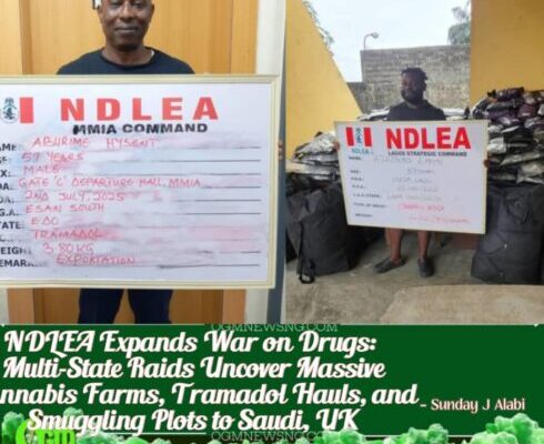 NDLEA Smashes International Drug Rings: Cocaine Found in Lipsticks, Property Documents, and $17.7m Travelers’ Cheques Seized