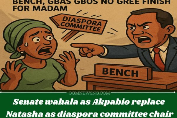 Senate palava: Senate Don Remove Natasha Again – From Diaspora Committee to Bench, Gbas Gbos No Gree Finish for Madam!