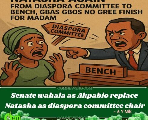 Senate palava: Senate Don Remove Natasha Again – From Diaspora Committee to Bench, Gbas Gbos No Gree Finish for Madam!