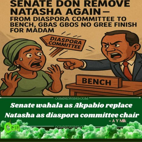Senate palava: Senate Don Remove Natasha Again – From Diaspora Committee to Bench, Gbas Gbos No Gree Finish for Madam!