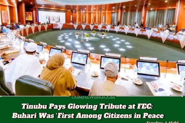 TINUBU PAYS TRIBUTE TO BUHARI AT SPECIAL FEC SESSION