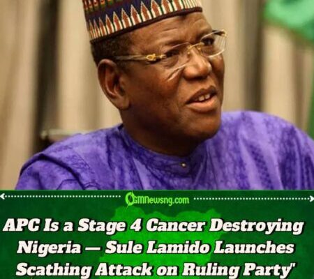 Never Vote APC Again — Lamido Warns Nigerians, Calls for Coalition to Excise 'Cancerous' Ruling Party"
