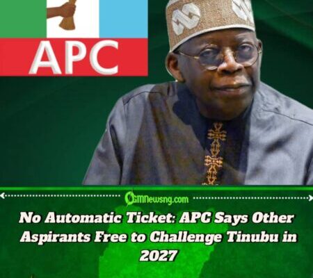 2027 Ticket: APC Welcomes Aspirants to Contest Against Tinubu