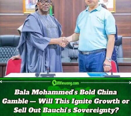 Bauchi Governor Bala Mohammed Hands Key Economic Role to Foreigner — Is This Vision or Betrayal of Local Talents?