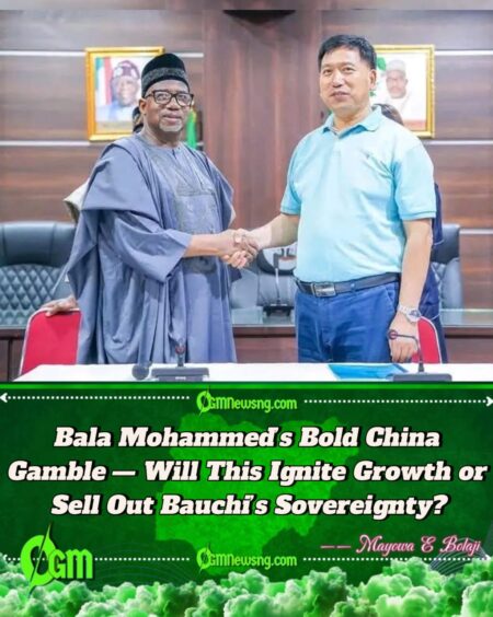 Bauchi Governor Bala Mohammed Hands Key Economic Role to Foreigner — Is This Vision or Betrayal of Local Talents?