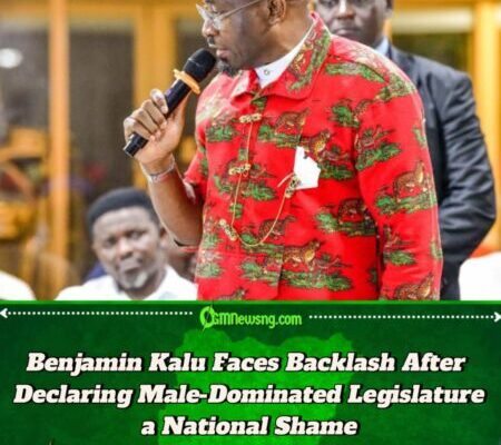 Benjamin Kalu Ignites Firestorm as He Pushes for Reserved Seats for Women in National Assembly
