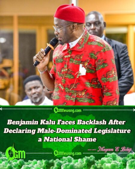 Benjamin Kalu Ignites Firestorm as He Pushes for Reserved Seats for Women in National Assembly