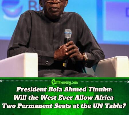 President Bola Ahmed Tinubu: Is Africa Being Deliberately Denied Its Place at the UN Security Council?