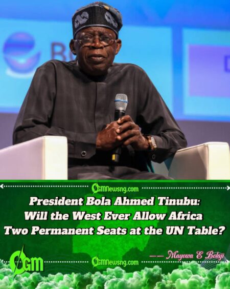 President Bola Ahmed Tinubu: Is Africa Being Deliberately Denied Its Place at the UN Security Council?