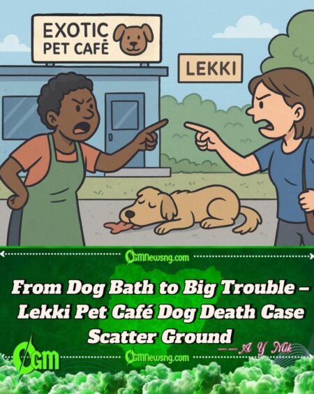 Pet Café Dog Wahala: Owner Cry Out Say Customer Dey Intimidate Her After Grooming Wahala