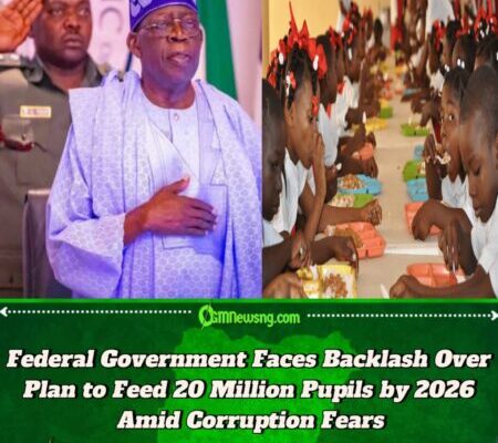 Federal Government Accused of Using School Feeding Programme as Political Tool Ahead of 2027 Elections