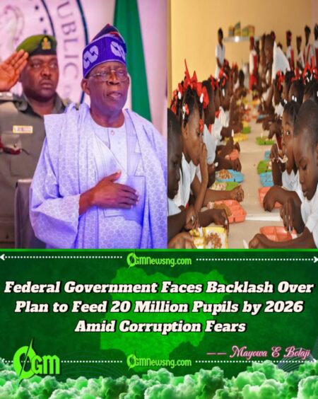 Federal Government Accused of Using School Feeding Programme as Political Tool Ahead of 2027 Elections