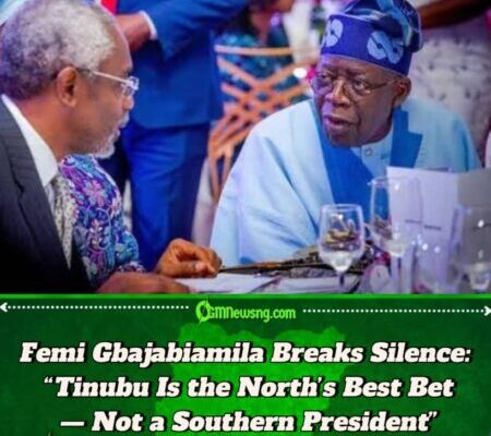 Femi Gbajabiamila Dares Northern Politicians: "Back Tinubu or Risk National Regression"