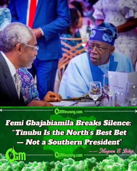 Femi Gbajabiamila Dares Northern Politicians: "Back Tinubu or Risk National Regression"