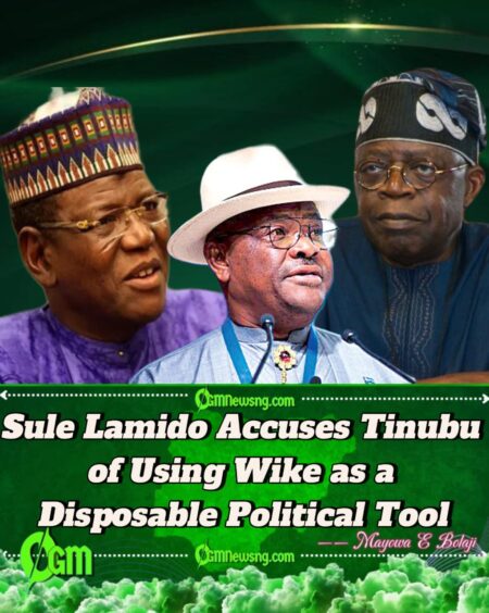 Sule Lamido, former Jigawa Governor Warns: Tinubu Will Dump Wike Once South-South Is Captured