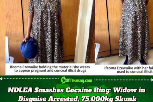 NDLEA Arrests Widow For Alleged Cocaine Trafficking With Fake Pregnancy