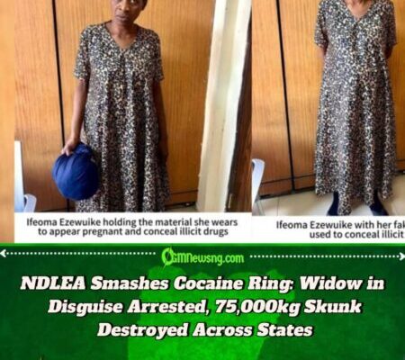 NDLEA Arrests Widow For Alleged Cocaine Trafficking With Fake Pregnancy