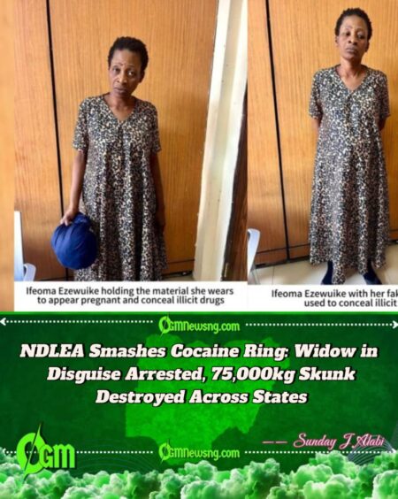 NDLEA Arrests Widow For Alleged Cocaine Trafficking With Fake Pregnancy