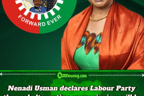 Nenadi Usman says Labour Party will dismantle APC–PDP dominance with polling unit structures in 2027